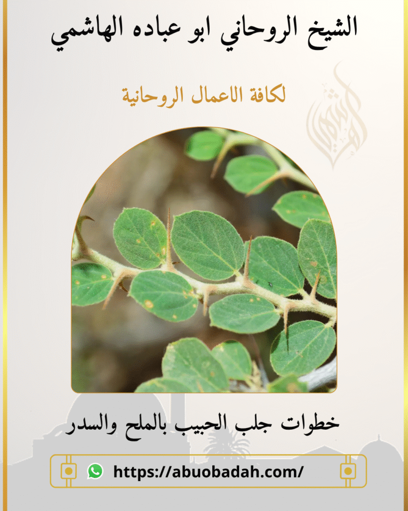 خطوات جلب الحبيب بالملح والسدر